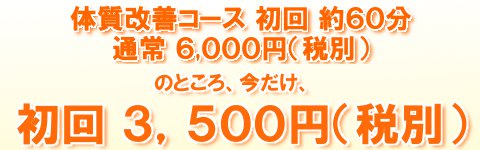 体質改善コース 約40分 初回3500円（税別）